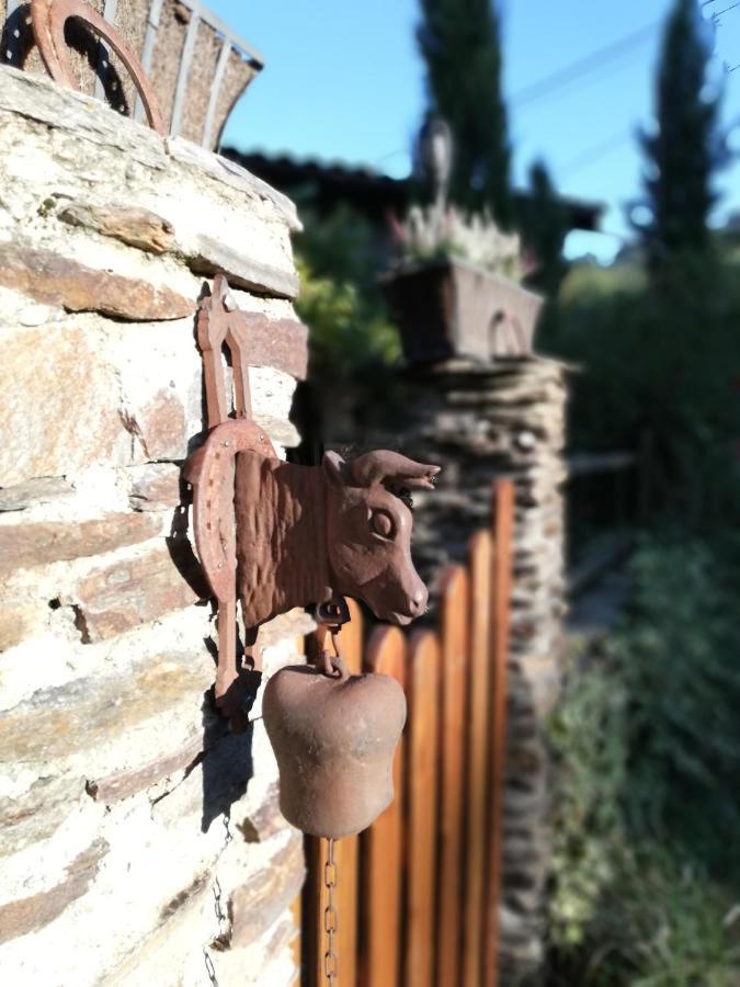 Appartement Croix En Jarez, Le Val Des Equins *